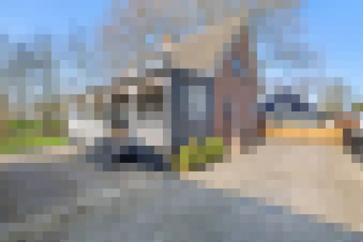 Oudewal 129 Warmenhuizen thumbnail 35