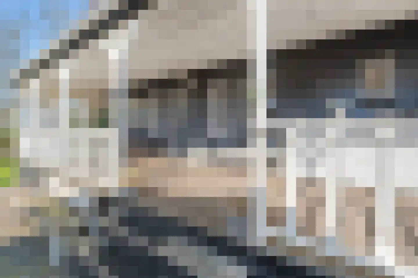Oudewal 129 Warmenhuizen thumbnail 37