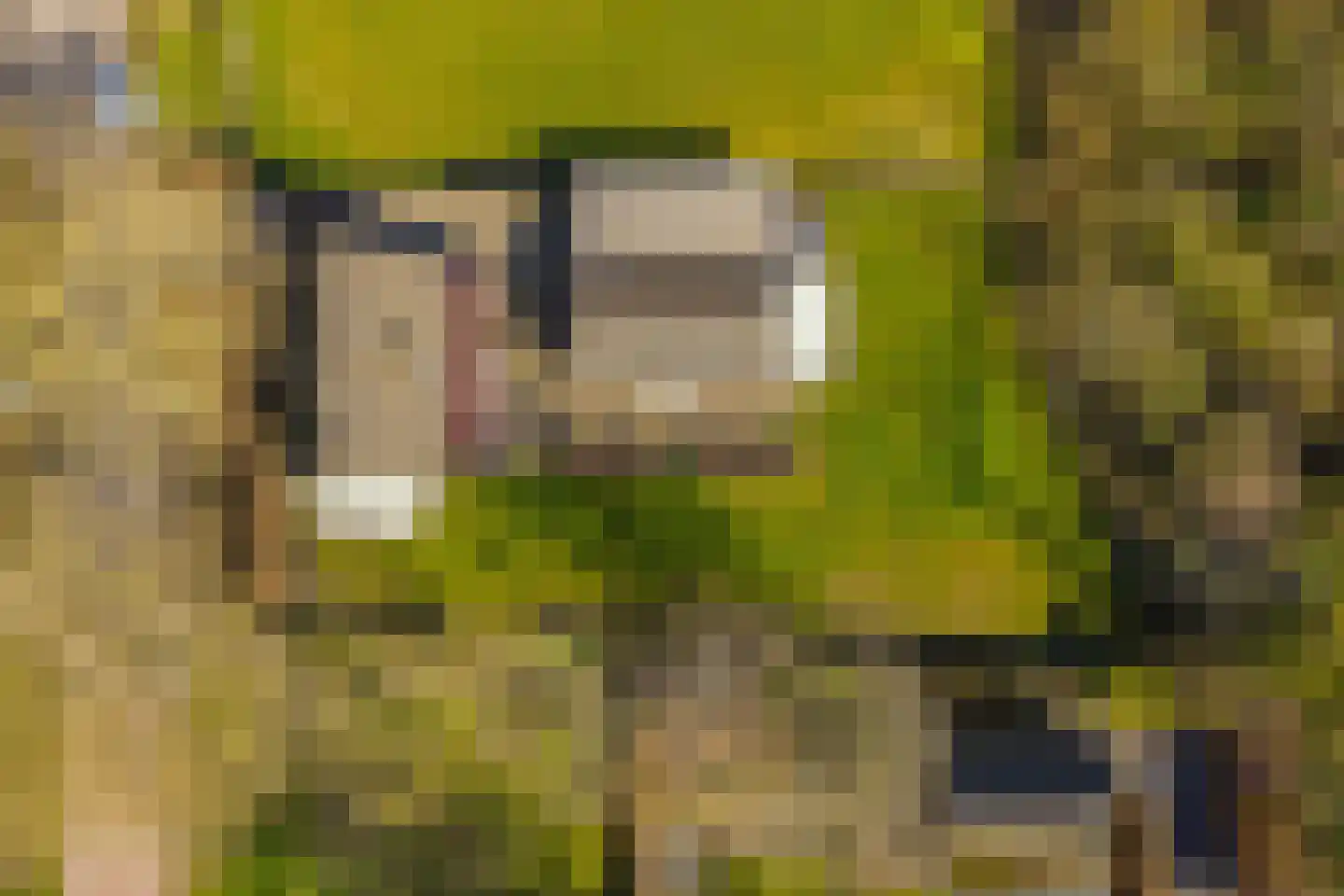Oudewal 129 Warmenhuizen thumbnail 43