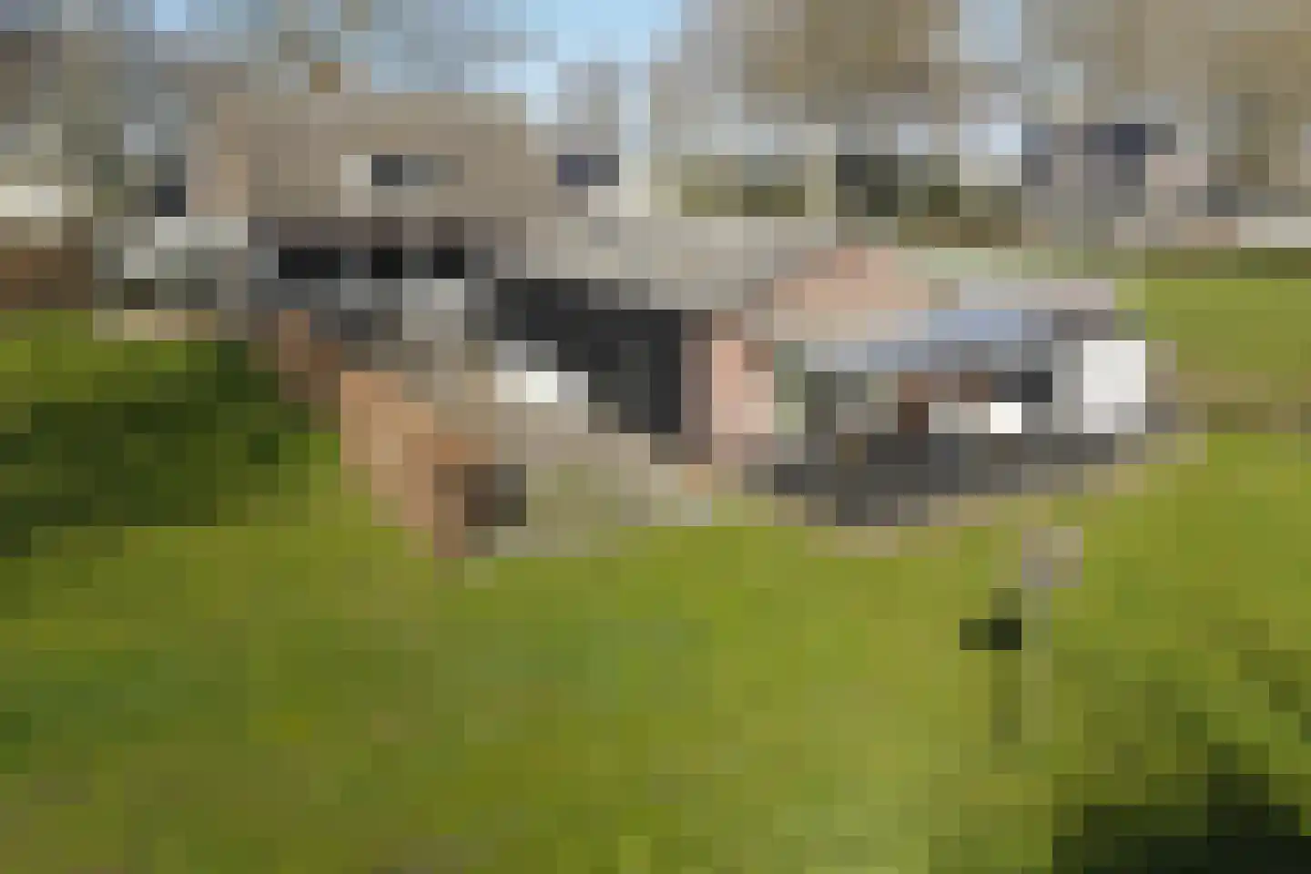 Oudewal 129 Warmenhuizen thumbnail 44