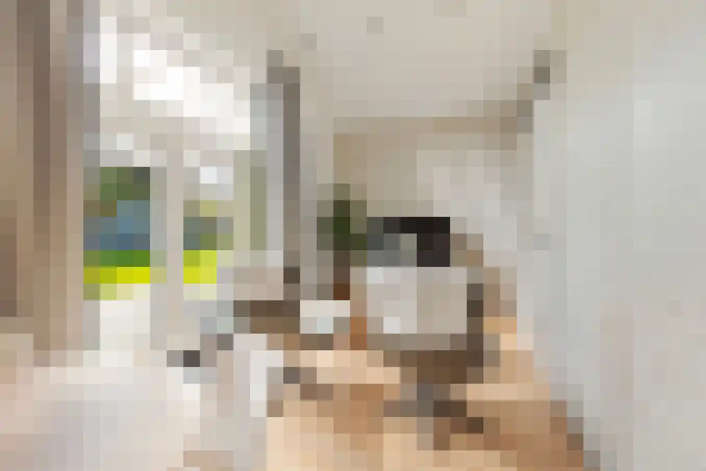 Oudewal 129 Warmenhuizen thumbnail 47