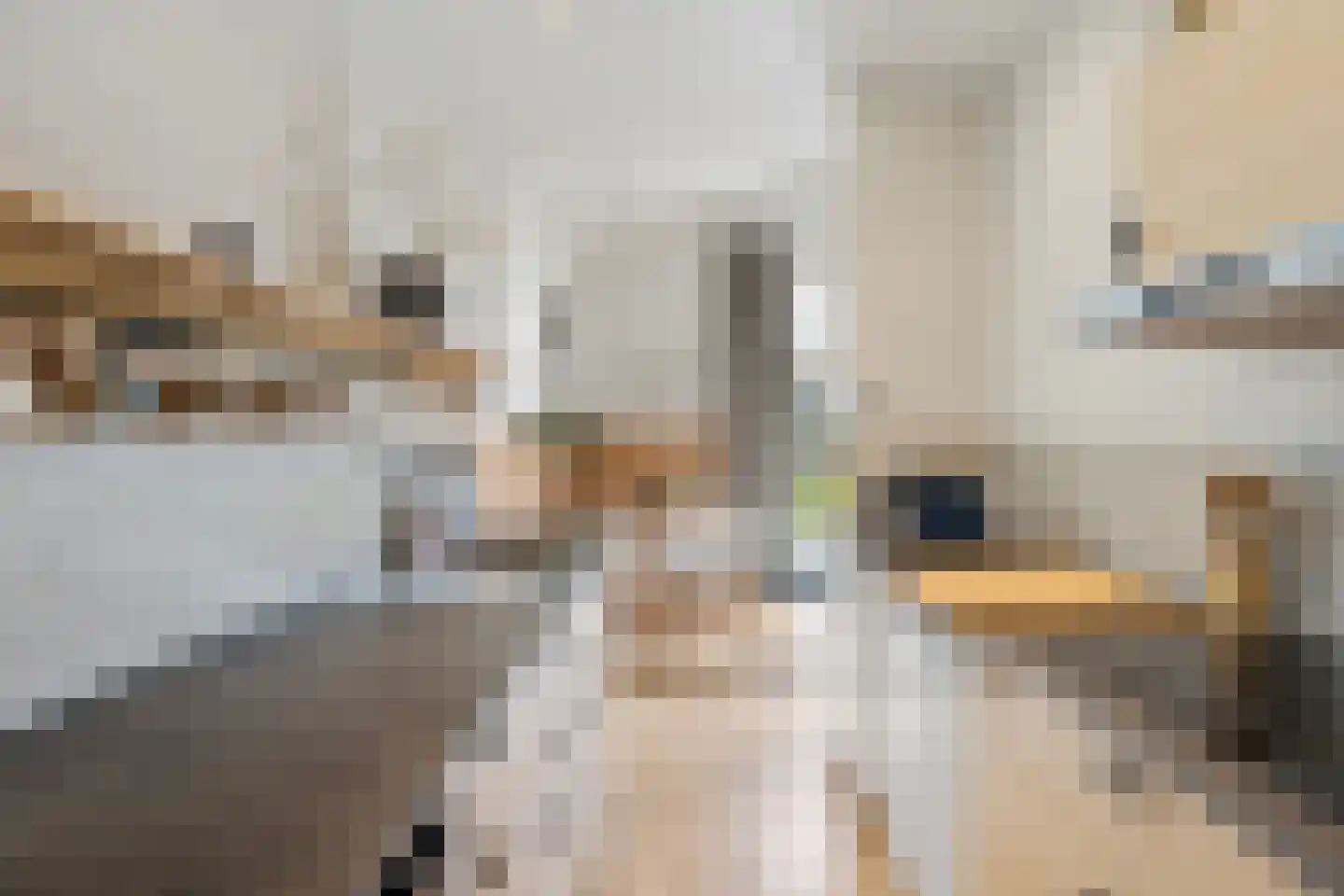 Oudewal 129 Warmenhuizen thumbnail 53
