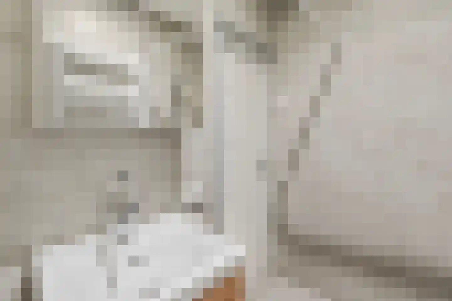 Oudewal 129 Warmenhuizen thumbnail 55