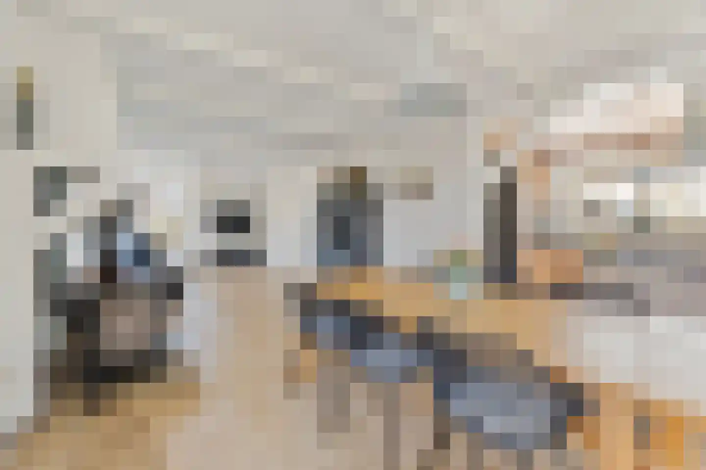 Oudewal 129 Warmenhuizen thumbnail 7