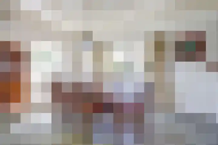 Oudewal 30 Warmenhuizen thumbnail 12