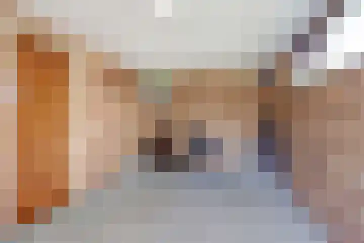 Oudewal 30 Warmenhuizen thumbnail 16