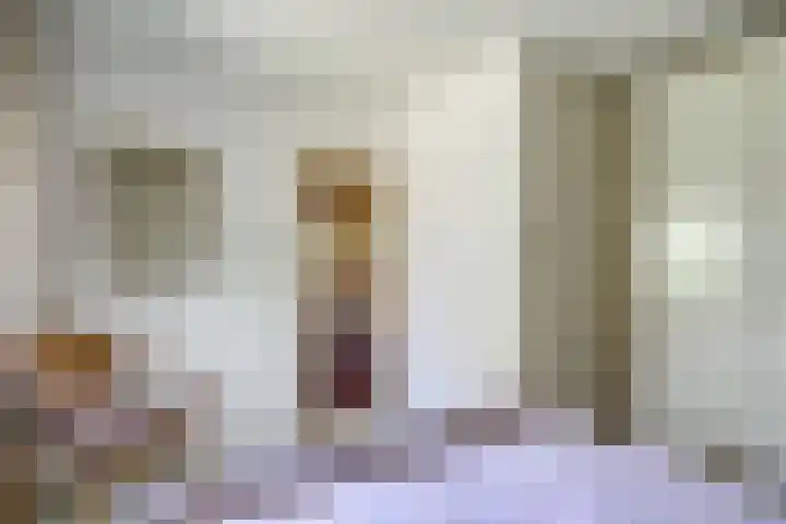 Oudewal 30 Warmenhuizen thumbnail 17