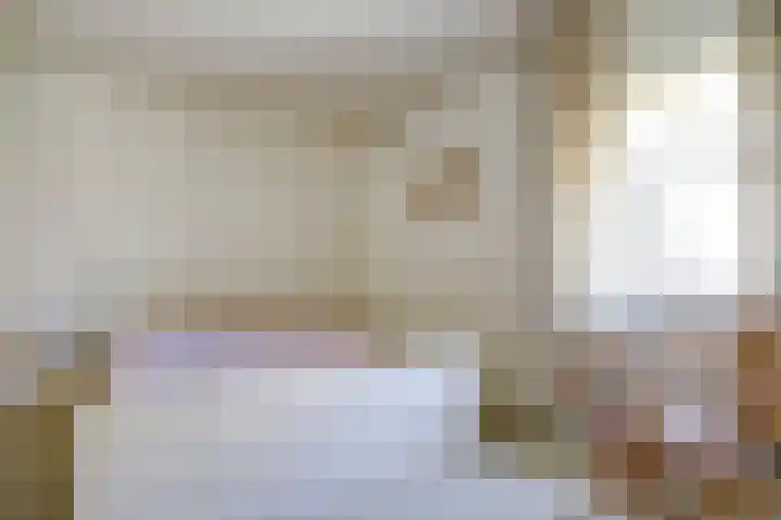Oudewal 30 Warmenhuizen thumbnail 18