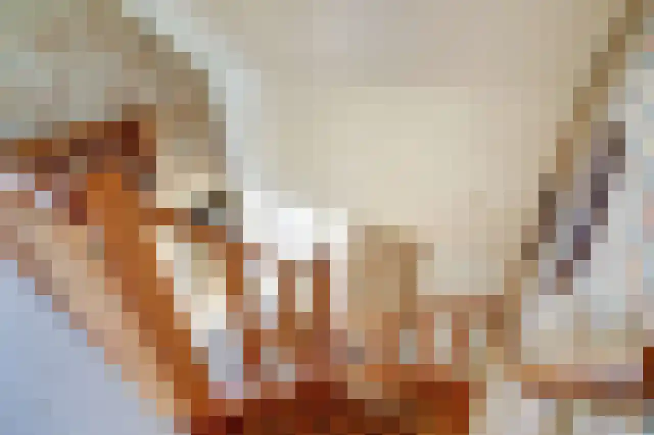Oudewal 30 Warmenhuizen thumbnail 23