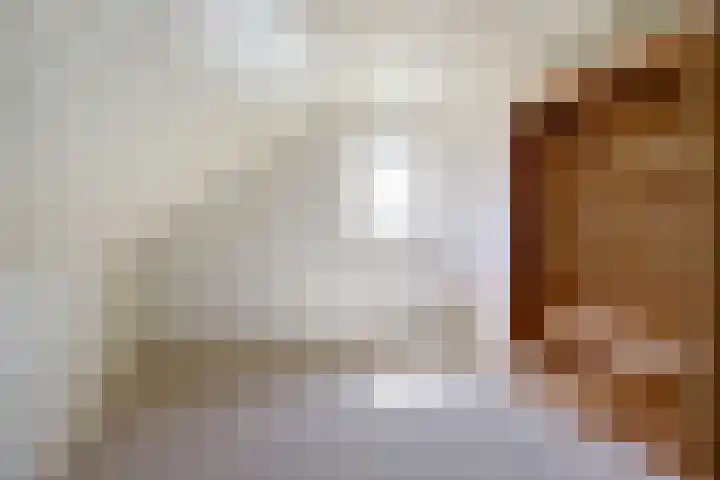 Oudewal 30 Warmenhuizen thumbnail 26