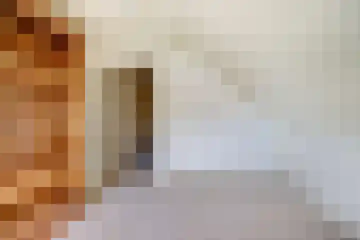 Oudewal 30 Warmenhuizen thumbnail 27