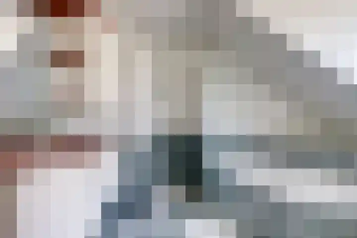 Oudewal 30 Warmenhuizen thumbnail 31