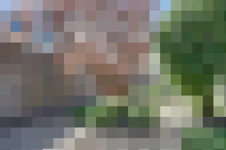 Oudewal 30 Warmenhuizen thumbnail 35