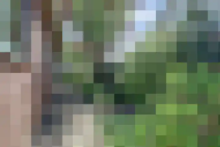 Oudewal 30 Warmenhuizen thumbnail 37