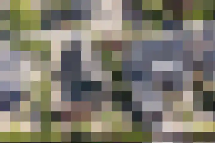 Oudewal 30 Warmenhuizen thumbnail 40