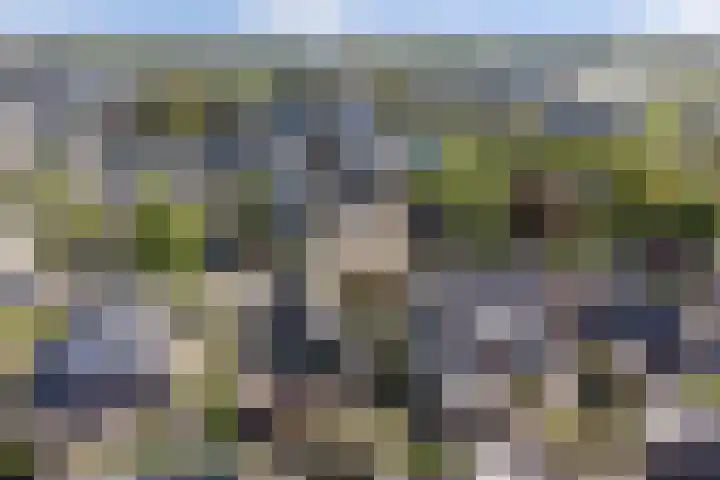 Oudewal 30 Warmenhuizen thumbnail 41