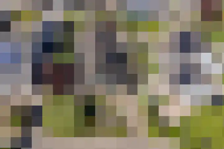 Oudewal 30 Warmenhuizen thumbnail 42