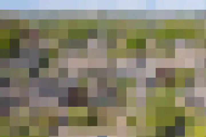 Oudewal 30 Warmenhuizen thumbnail 43