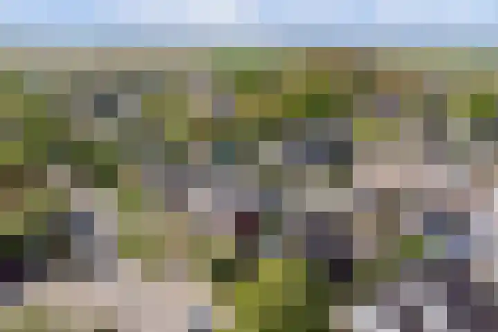 Oudewal 30 Warmenhuizen thumbnail 44