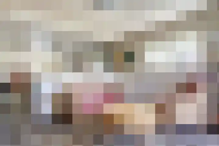 Oudewal 30 Warmenhuizen thumbnail 8