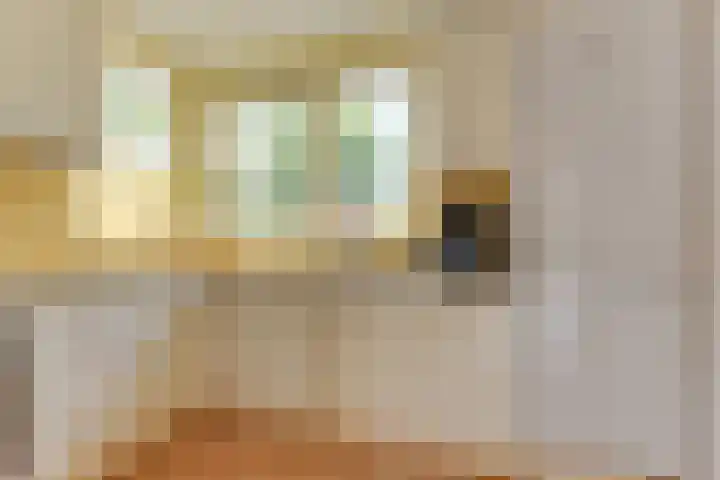Oudewal 41 Warmenhuizen thumbnail 16