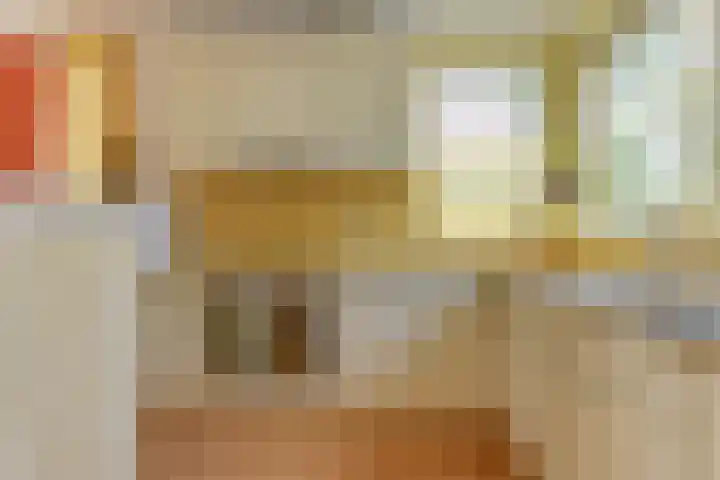 Oudewal 41 Warmenhuizen thumbnail 17