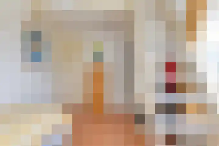 Oudewal 41 Warmenhuizen thumbnail 43