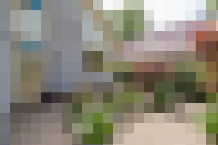 Oudewal 41 Warmenhuizen thumbnail 5