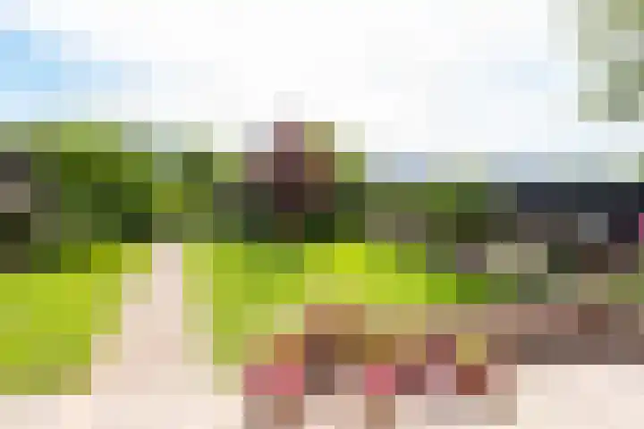 Oudewal 41 Warmenhuizen thumbnail 54