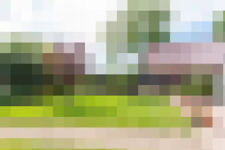 Oudewal 41 Warmenhuizen thumbnail 55