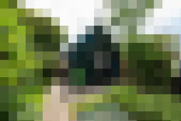Oudewal 41 Warmenhuizen thumbnail 57
