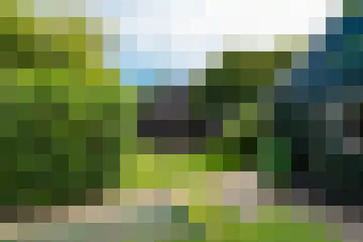 Oudewal 41 Warmenhuizen thumbnail 60