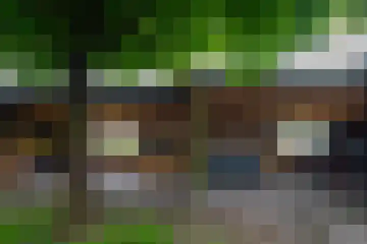 Oudewal 41 Warmenhuizen thumbnail 61