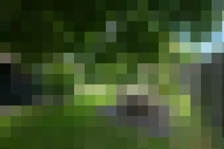 Oudewal 41 Warmenhuizen thumbnail 62
