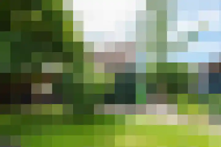Oudewal 41 Warmenhuizen thumbnail 63