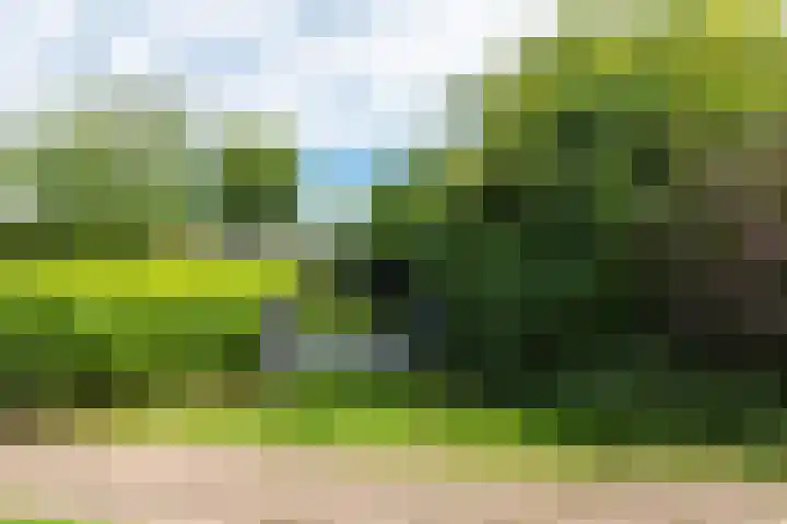 Oudewal 41 Warmenhuizen thumbnail 64