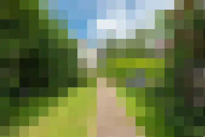 Oudewal 41 Warmenhuizen thumbnail 65
