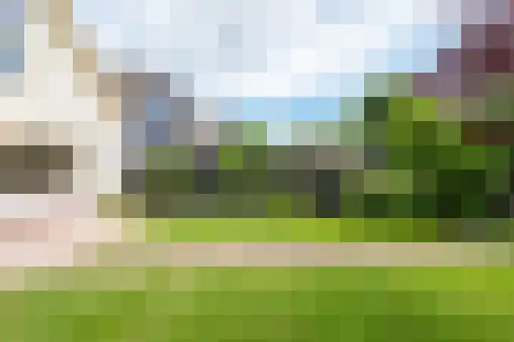 Oudewal 41 Warmenhuizen thumbnail 66