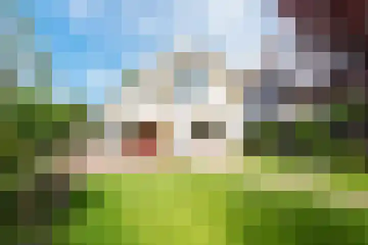 Oudewal 41 Warmenhuizen thumbnail 67