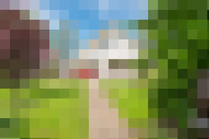 Oudewal 41 Warmenhuizen thumbnail 68