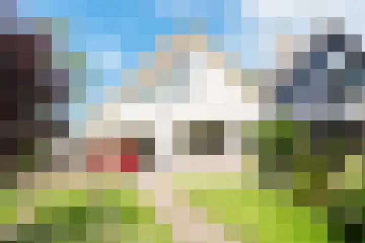 Oudewal 41 Warmenhuizen thumbnail 69