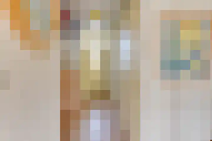 Oudewal 41 Warmenhuizen thumbnail 7