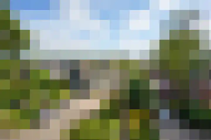 Oudewal 41 Warmenhuizen thumbnail 70