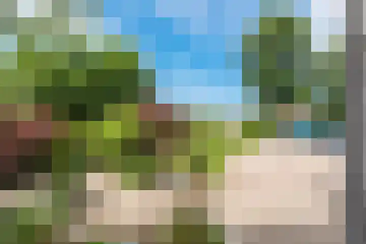 Oudewal 41 Warmenhuizen thumbnail 72