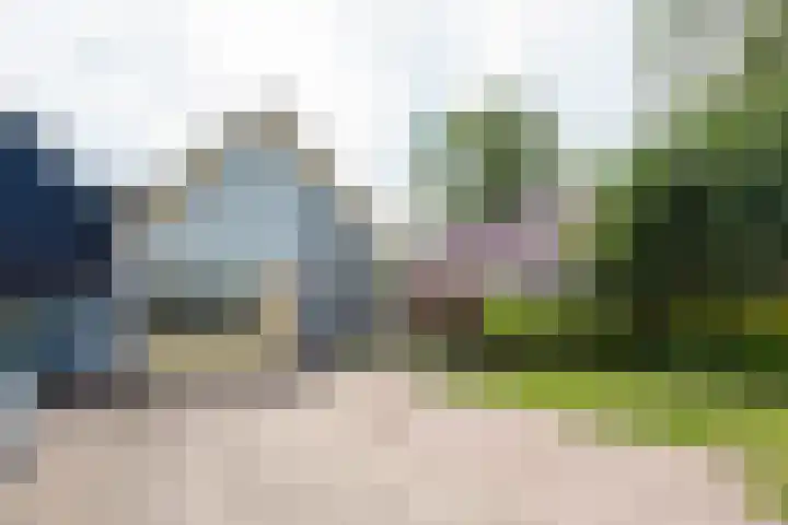 Oudewal 41 Warmenhuizen thumbnail 73