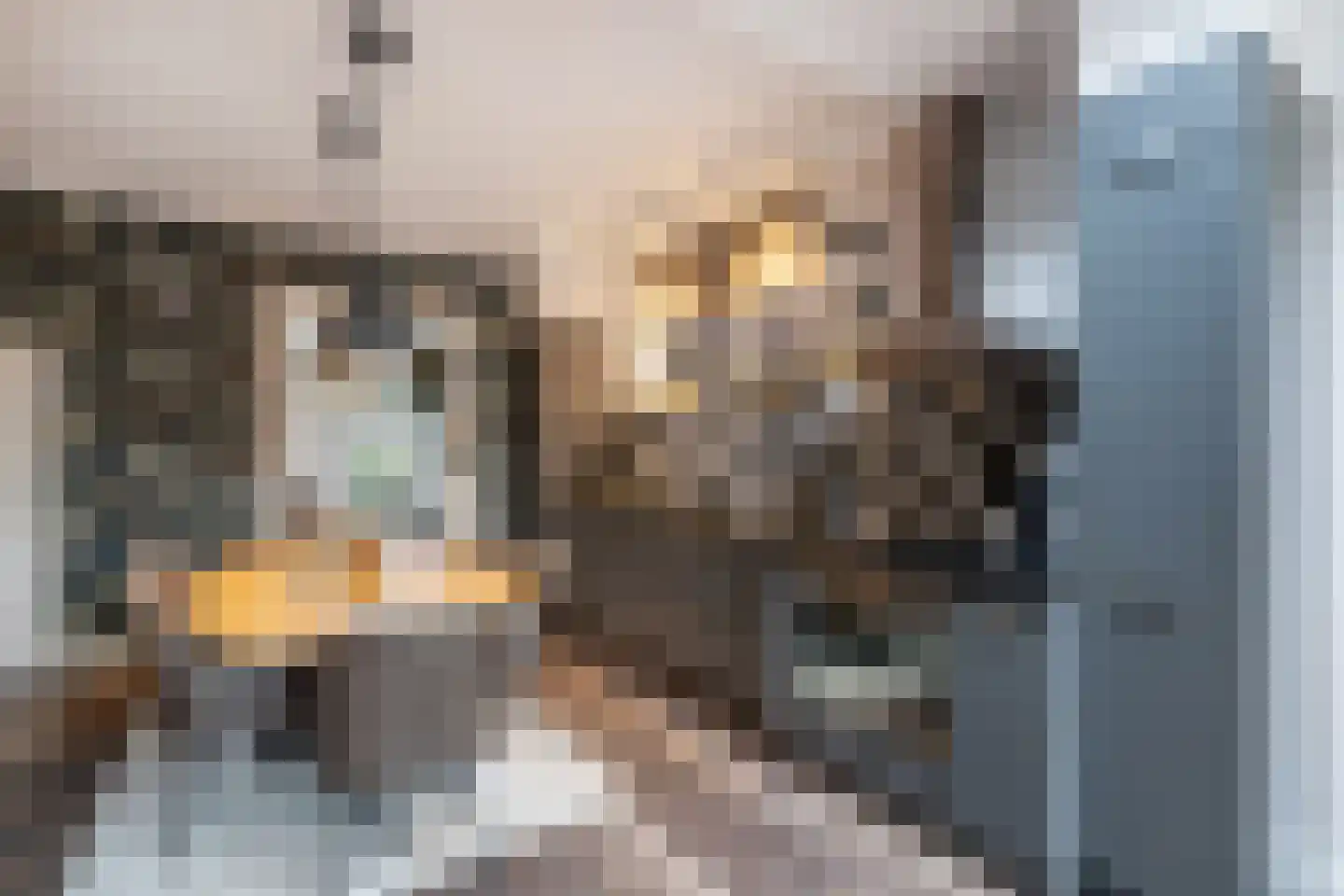 Oudewal 46 Warmenhuizen thumbnail 11