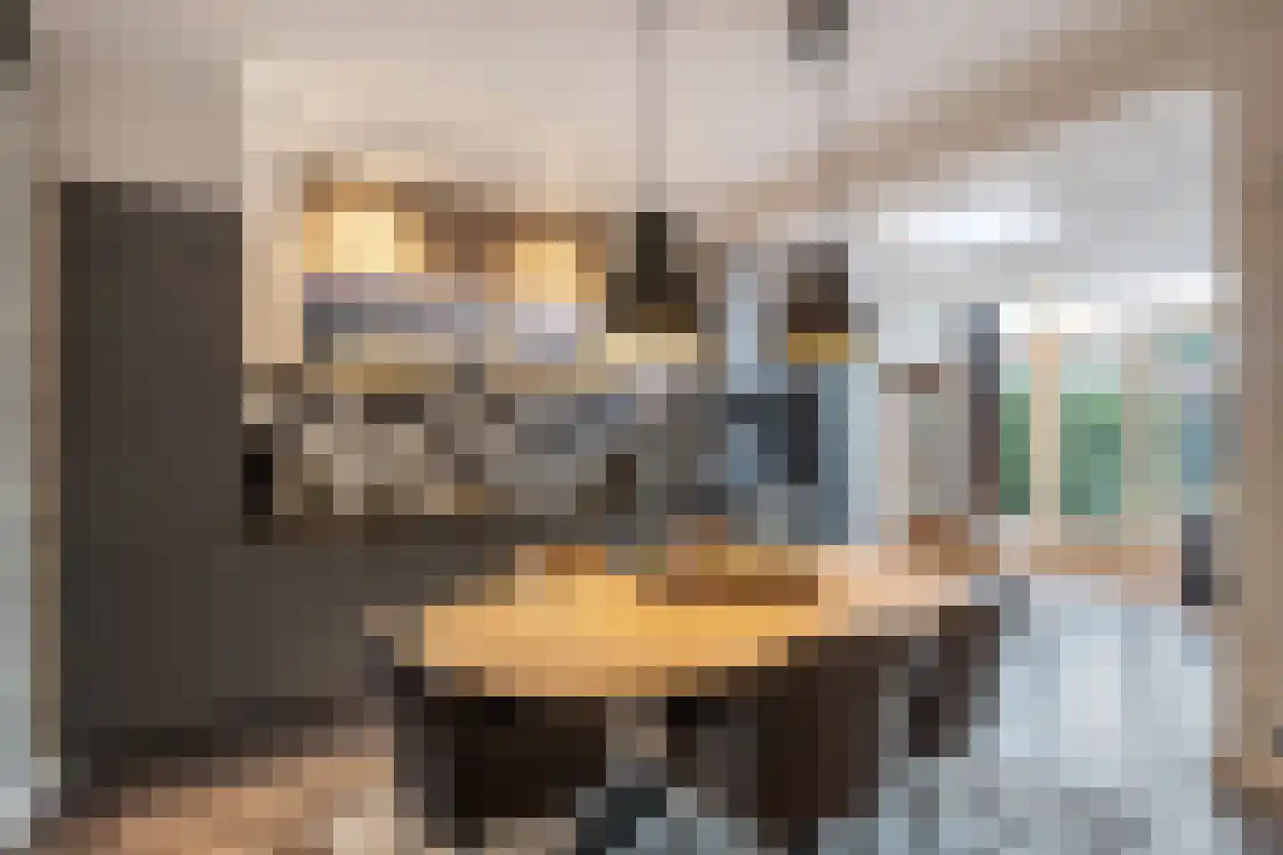 Oudewal 46 Warmenhuizen thumbnail 12