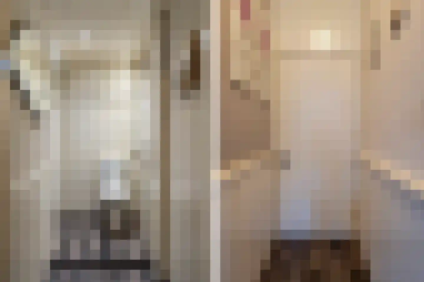 Oudewal 46 Warmenhuizen thumbnail 24