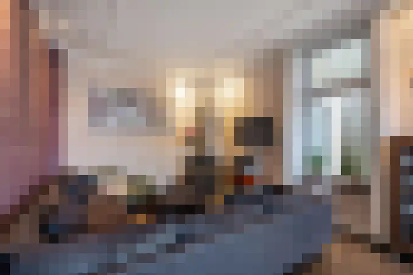 Oudewal 46 Warmenhuizen thumbnail 25