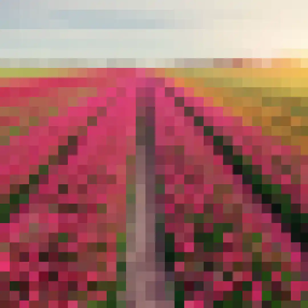 Oudewal 46 Warmenhuizen thumbnail 4